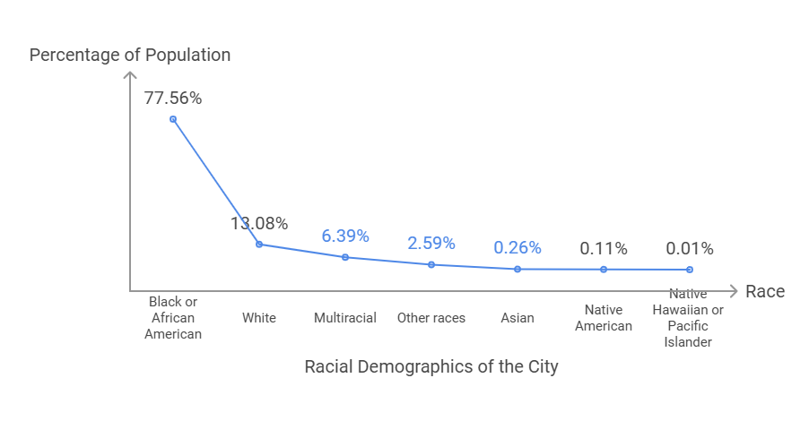 Racial Demographics of the City