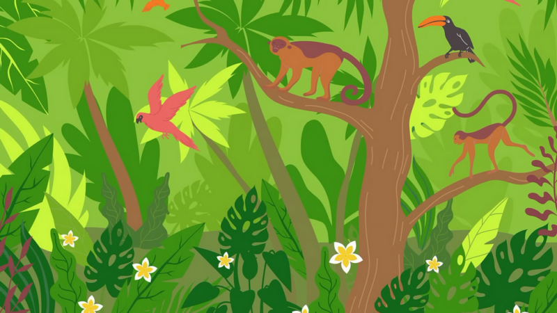 forest with animals