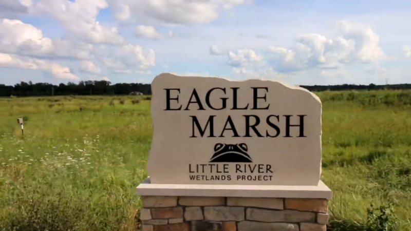 Eagle Marsh Nature Preserve in Fort Wayne