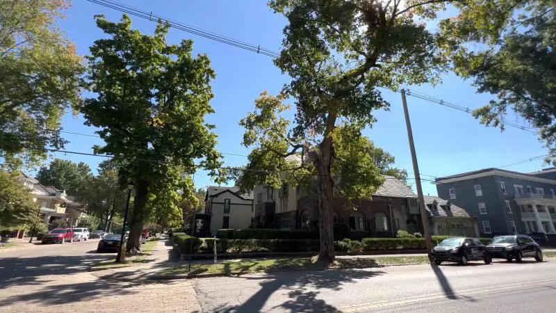 Street View of Evansville Showing Historic Homes