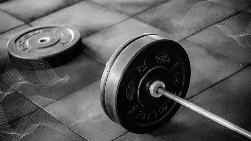 weights in the gym