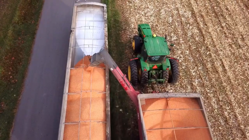 A Tractor Loading Harvested Corn Into Trailers on An Indiana Farm