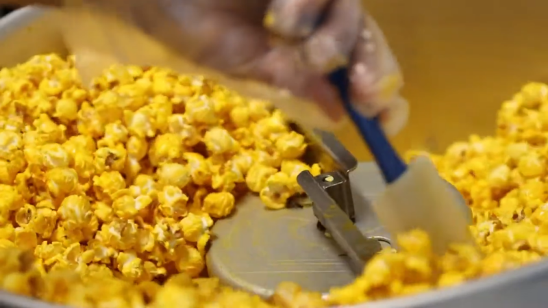 Freshly Prepared Yellow Popcorn Being Scooped at Gutwein Popcorn in Francesville, Indiana