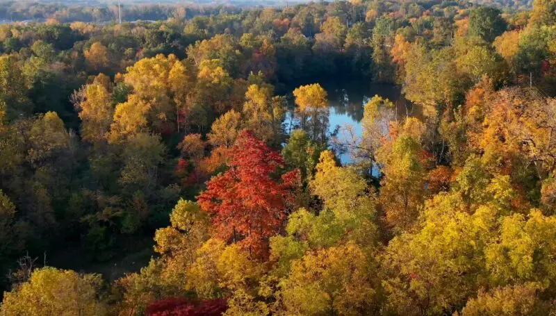 Beautiful drone shot of Indiana nature in autumn