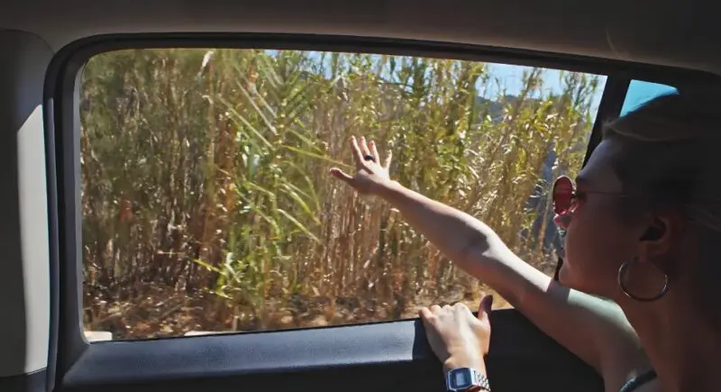 Road trip vibes, a passenger's arm reaching out to the tall grass